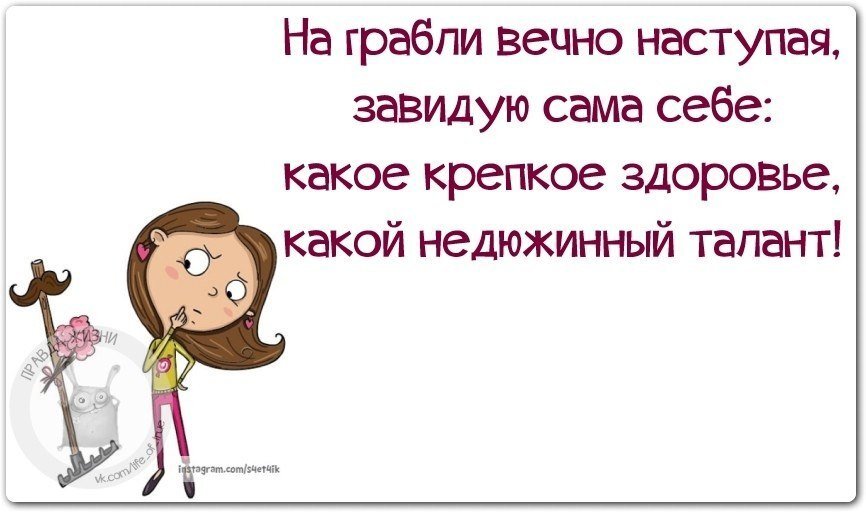 Выдумать чтоб самому себе завидовать. Шутки про грабли. Про грабли афоризмы. Анекдот про грабли. Высказывания про грабли.