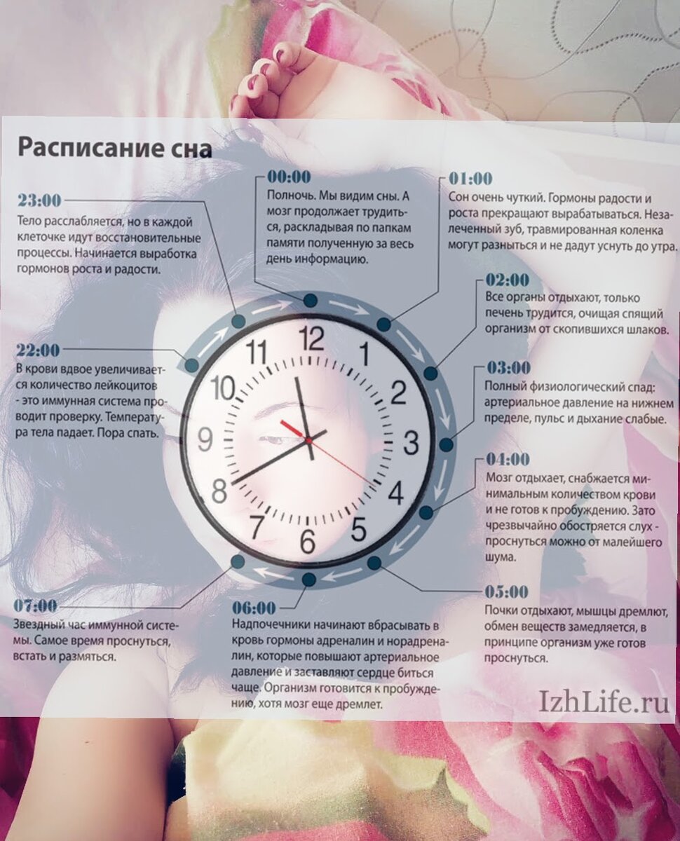 Фото автора: часы сна