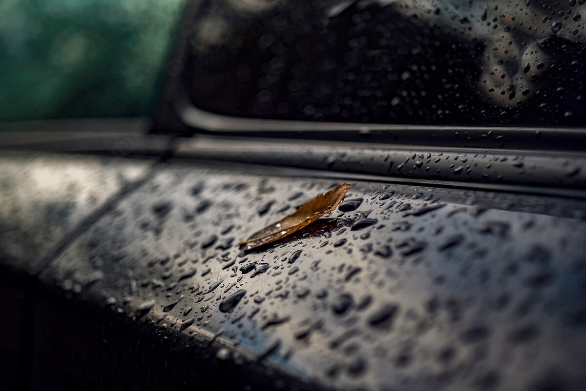 Sony A7s + Carl Zeiss Jena DDR 50 2.8 Первый кадр после покупки объектива