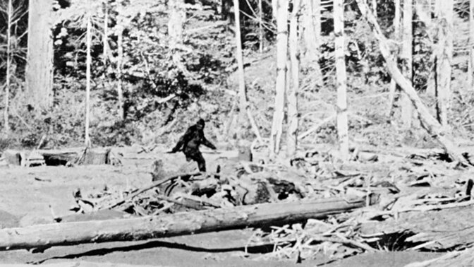 Снежный человек?Или призрак?