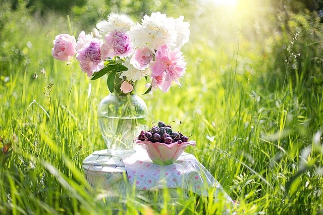 Image by Jill Wellington from Pixabay 