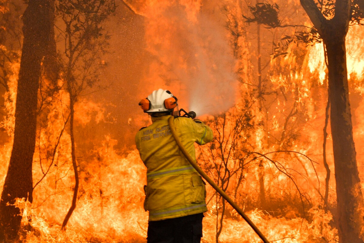 Фото: ria.ru / Пожары в Австралии