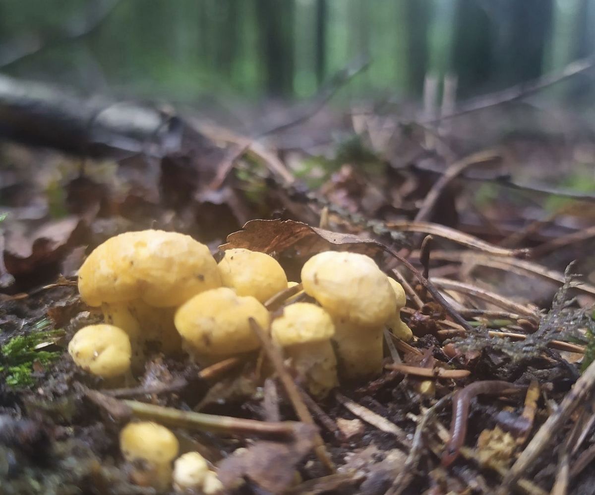 Фото Елена Ш.