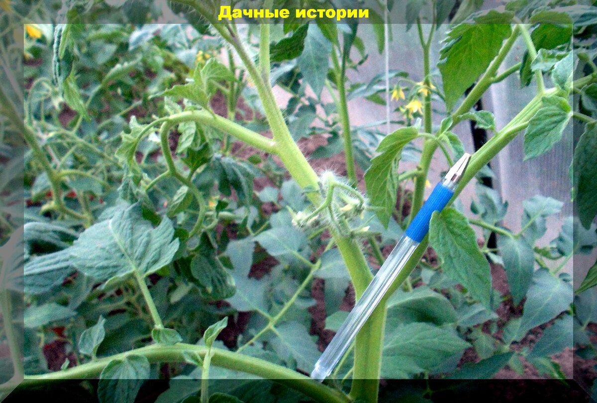 https://vk.com/photo-159774511_457248030