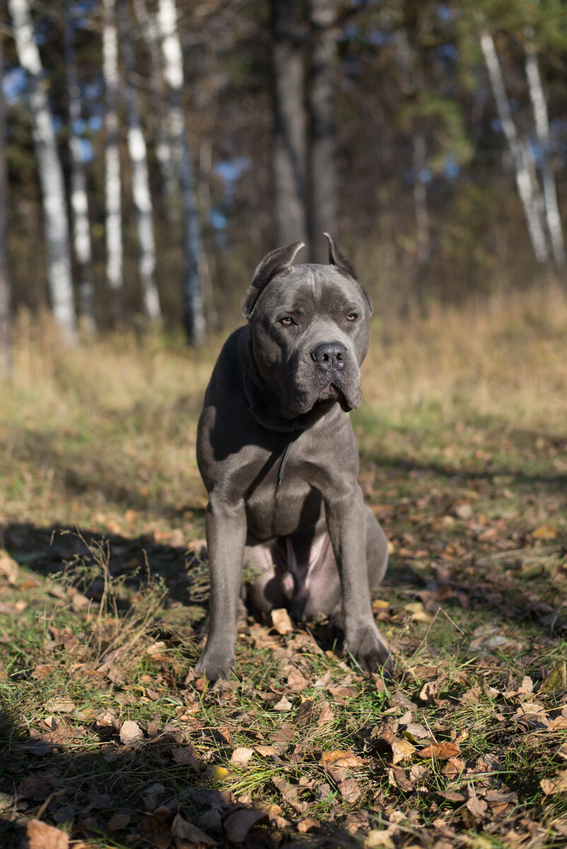 Фирин 2017 г. Производить впечатление мы умеем :)