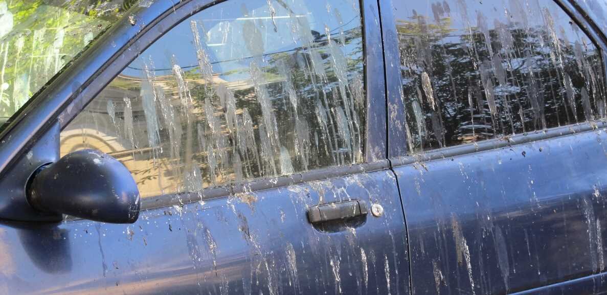 Тут только АВТОМАТИЧЕСКАЯ МОЙКА.