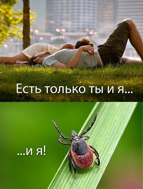 Взято из открытых источников.
