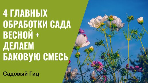 4 ГЛАВНЫХ ОБРАБОТКИ САДА ВЕСНОЙ! ОЧЕНЬ ВАЖНО НЕ ЗАБЫТЬ ПРО НИХ!