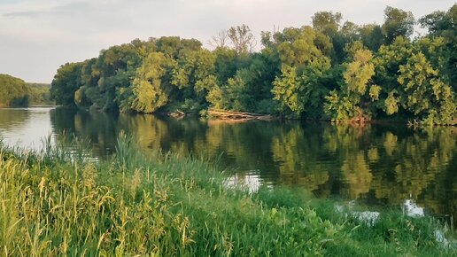 Караси клюют даже в сильную жару