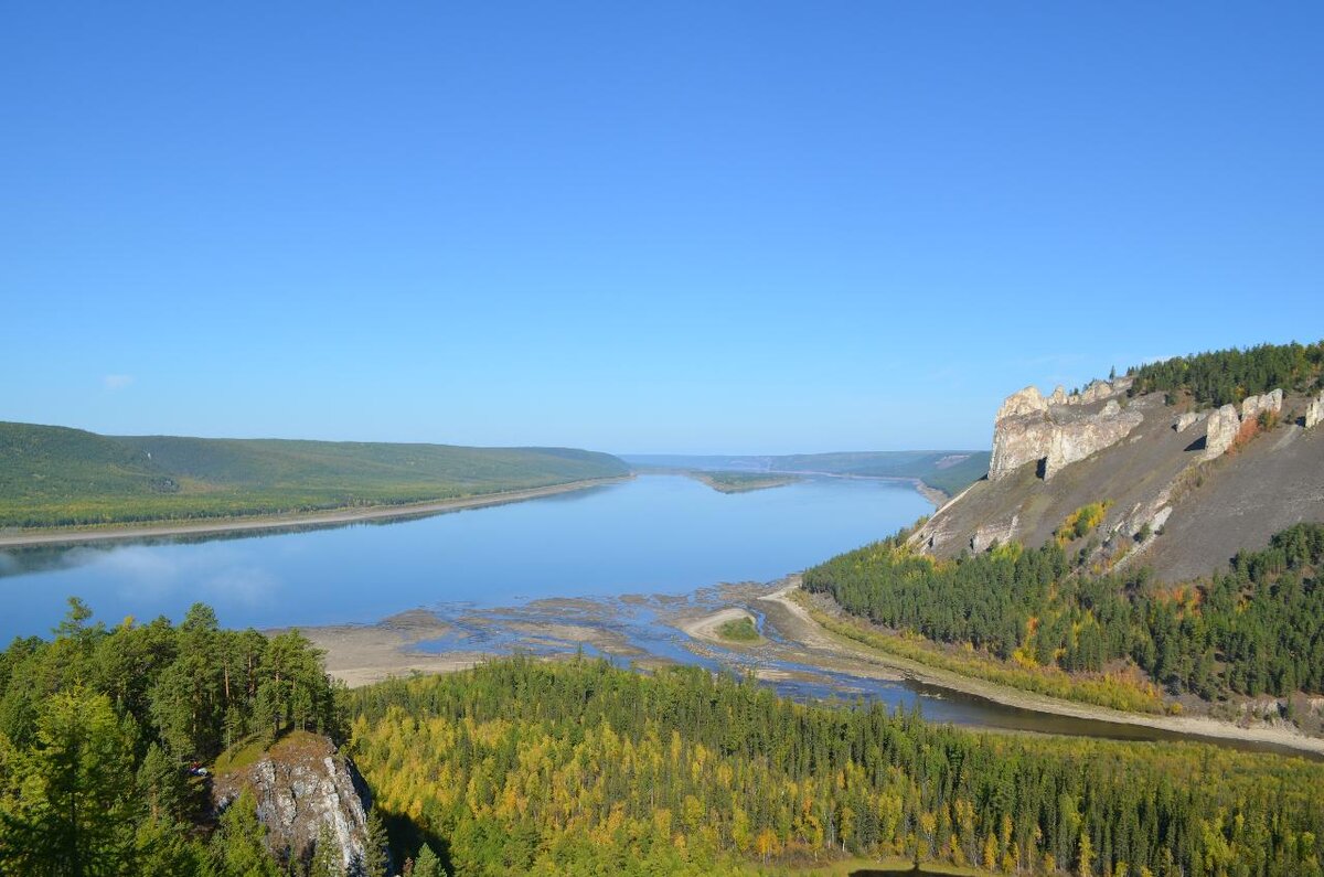 Яндекс картинки