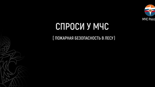 Спроси у МЧС: пожарная безопасность в лесу