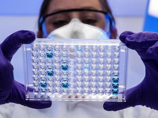     Фото: CDC on Unsplash.