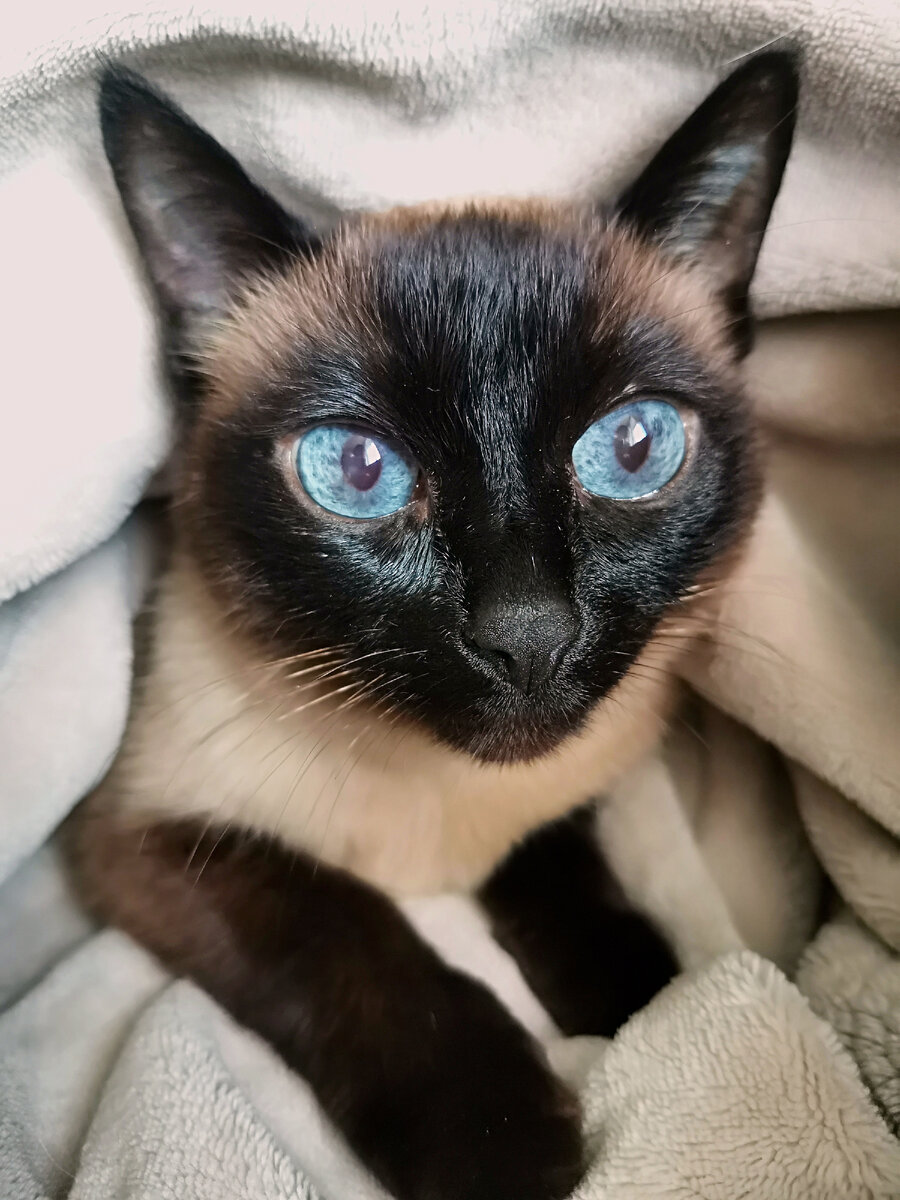 Бузя. Фото автора