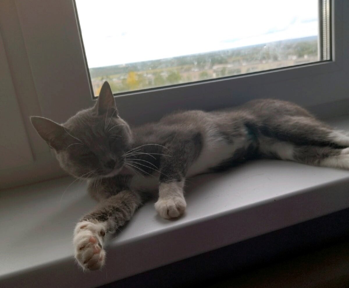 Талия, как у модели)))