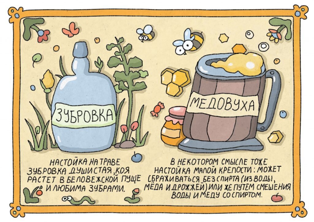 Ольга Ивенская: Домашний самогон, настойки, наливки и другие любимые напитки