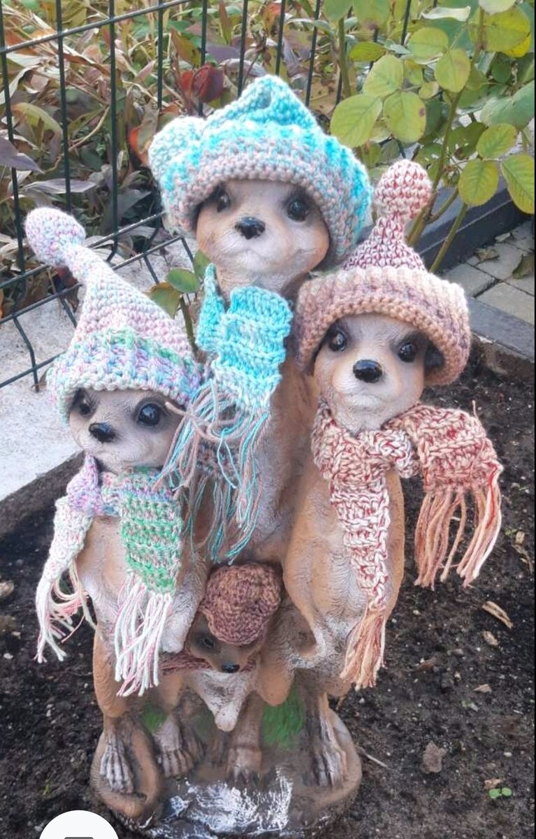 Эти красавцы довольны.