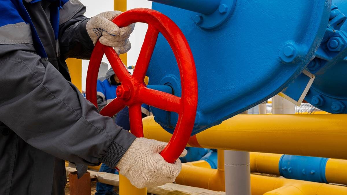    Фото: shutterstock