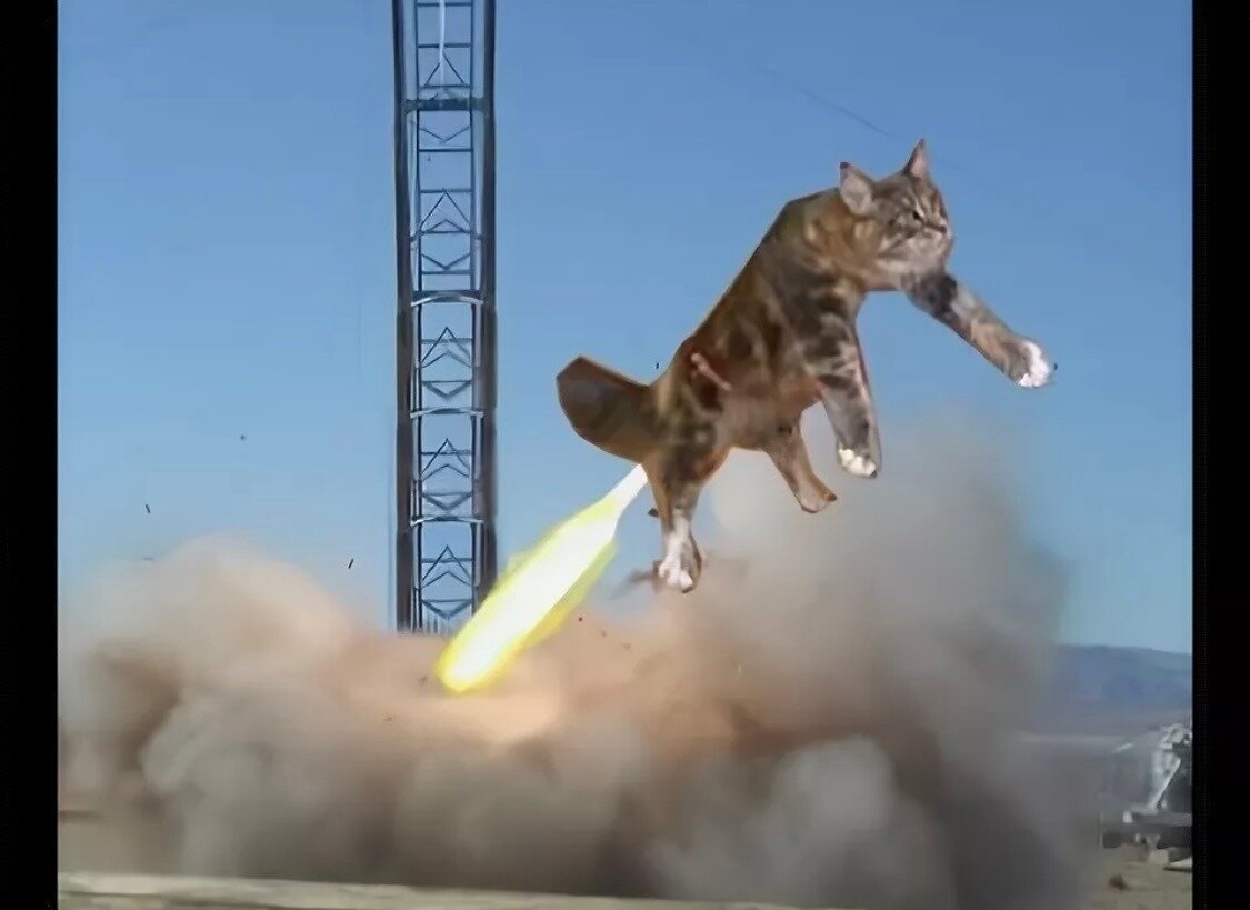 Включи пукалка. Кот на ракете. Летающий кот. Реактивный кот. Кот летает на ракете.