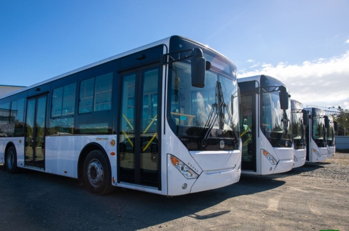    Автобусные рейсы в Крым из Краснодара отменены до 14 октября