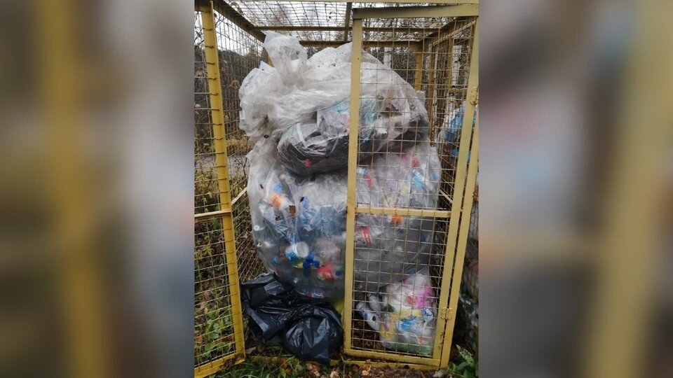     Сетки для сортировки мусора можно установить в своем районе. Фото: Галина Сосновских