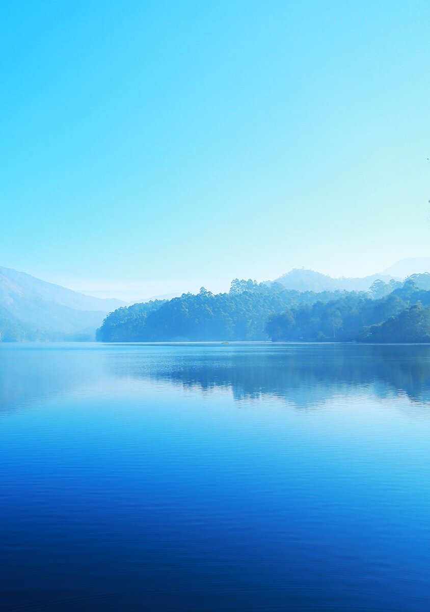 фото с pexels.com