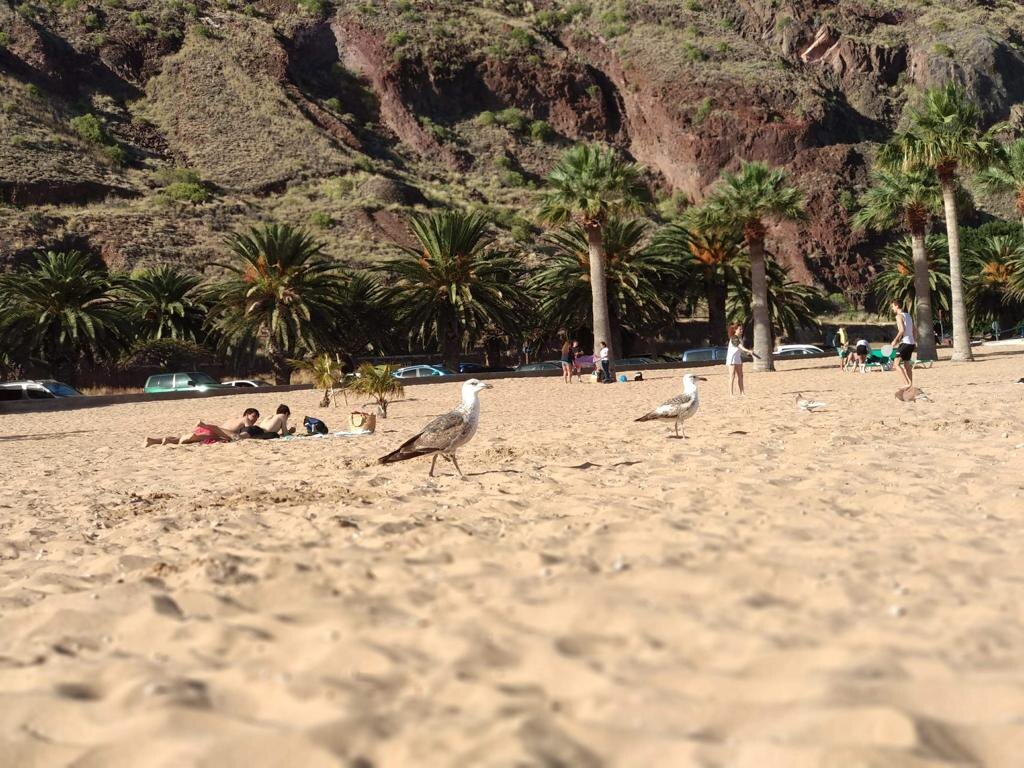 Фото: Азбука Испании.