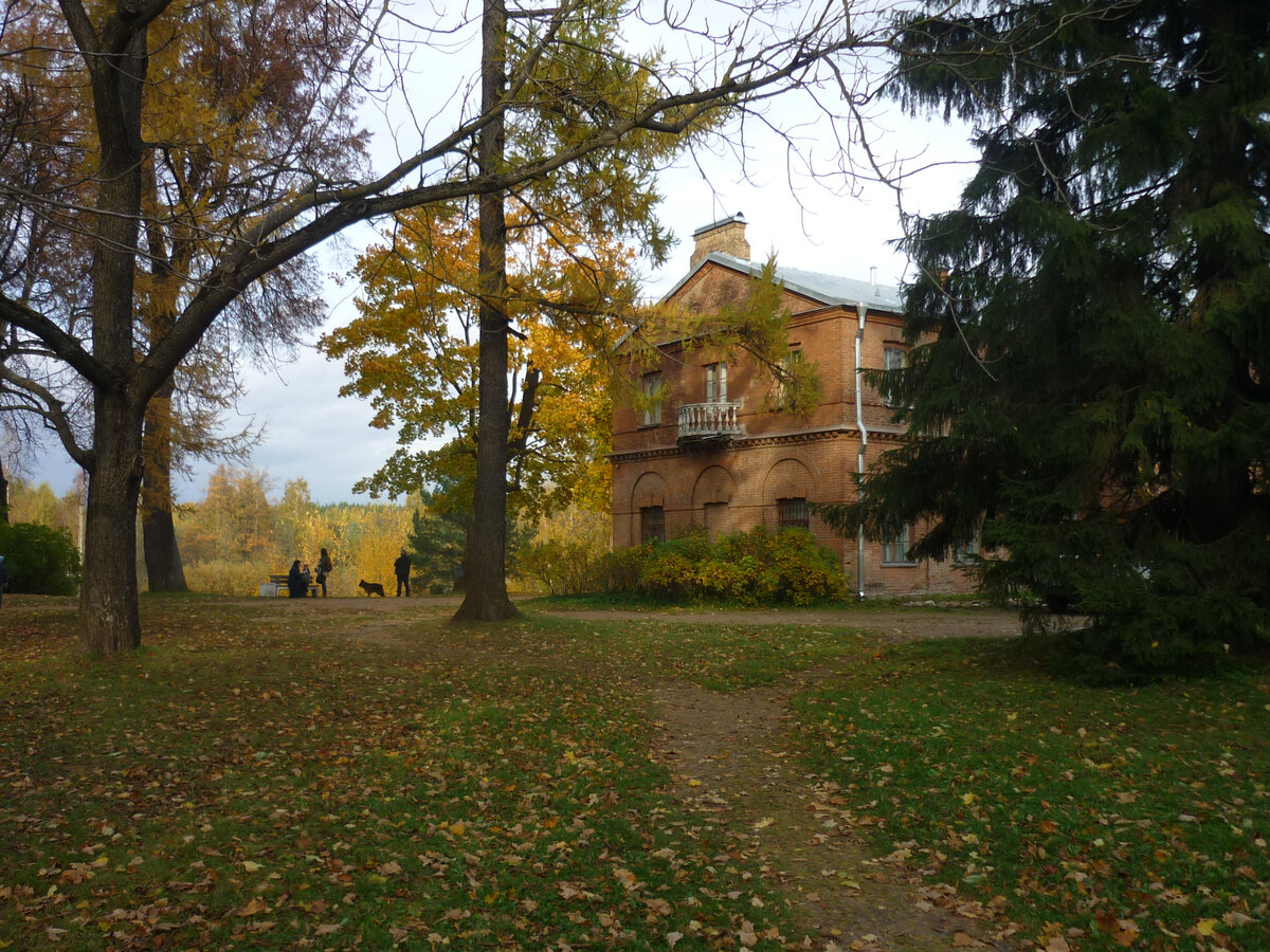 Господский дом (он же музей)