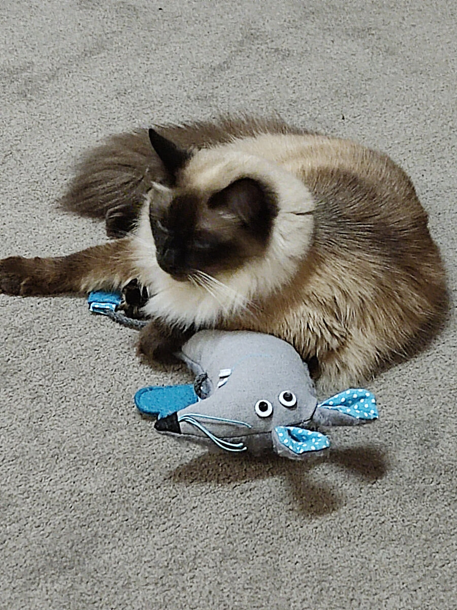 Ну допустим не одна, со своими крысками 🥰