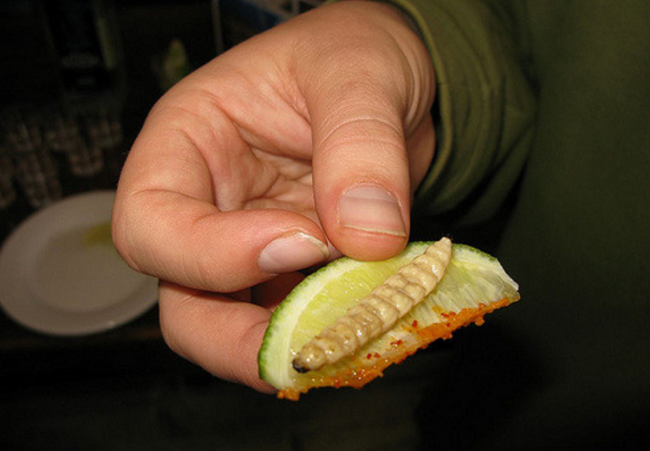 Лайм с солью, перцем и червяком - закуска любителей мескаля. 