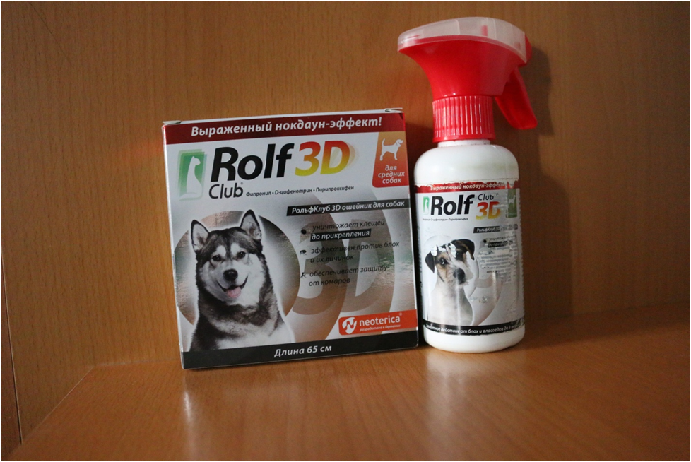 Фото из личного архива.