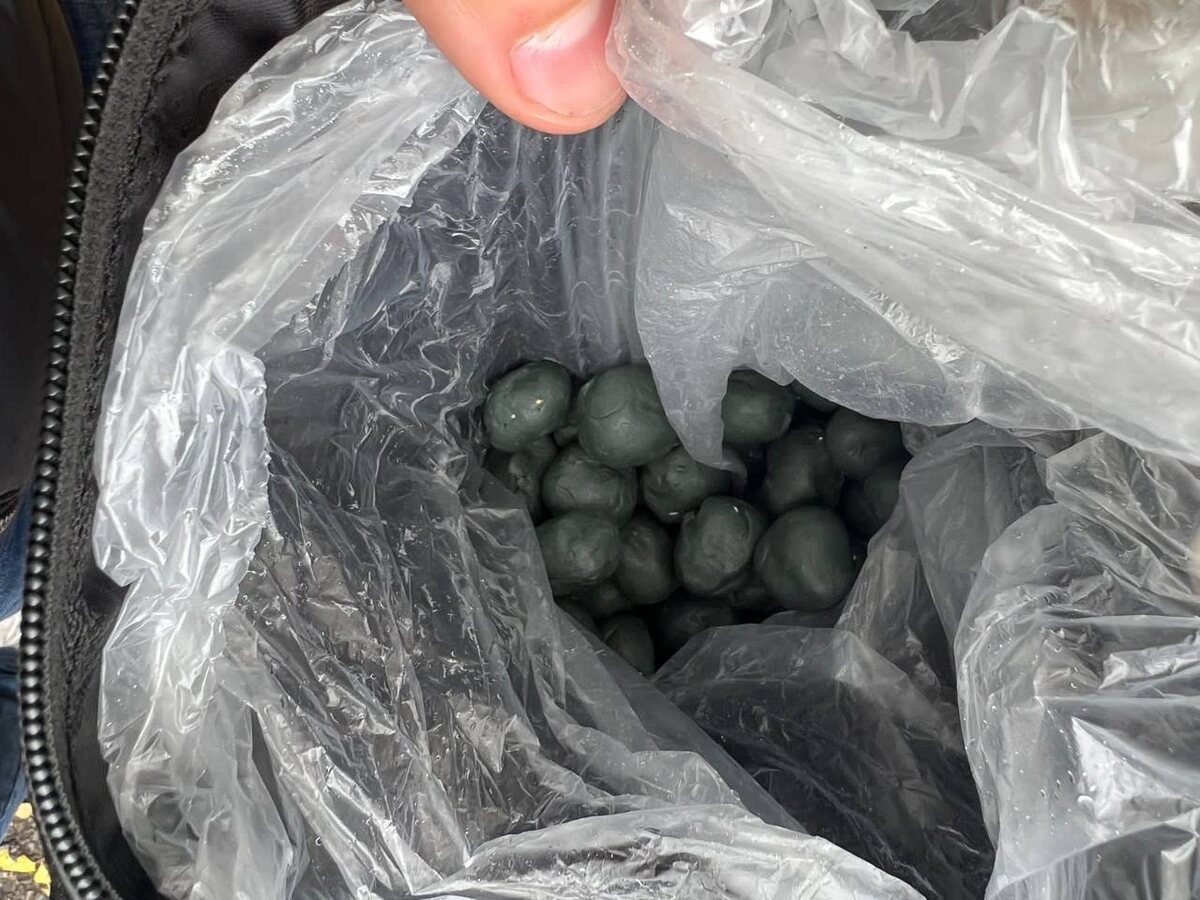  📷    В Оренбурге задержали 27-летнюю закладчицу с крупной партией наркотиков Марина Шарт