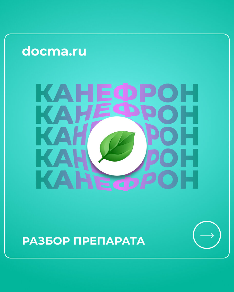 Канефрон. Разбор препарата. | Docma.ru | Дзен