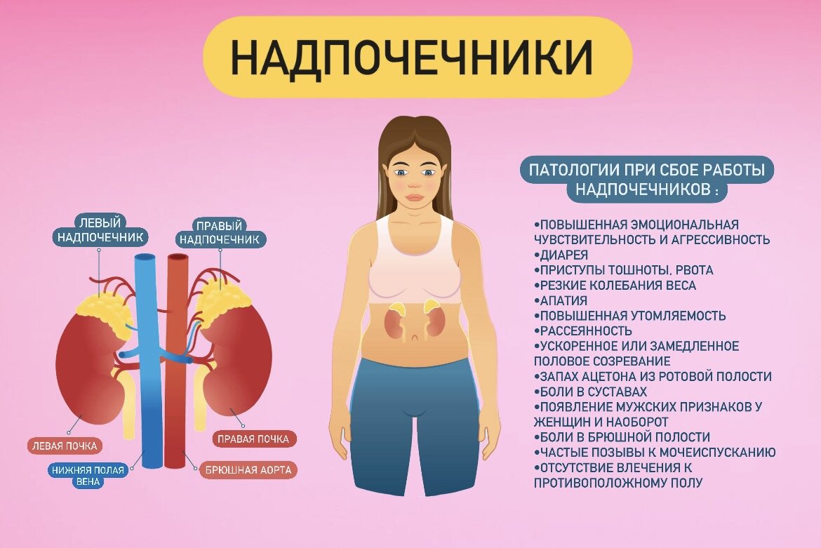 нарушение функции надпочечников. эндокринная функция надпочечников. какой врач занимается надпочечниками. доброкачественная опухоль надпочечников. надпочечники анатомия и физиология.