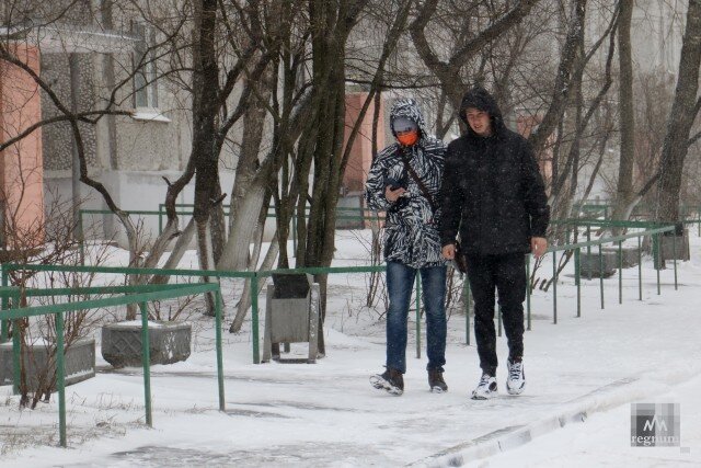    В метель Наталья Стрельцова © ИА REGNUM