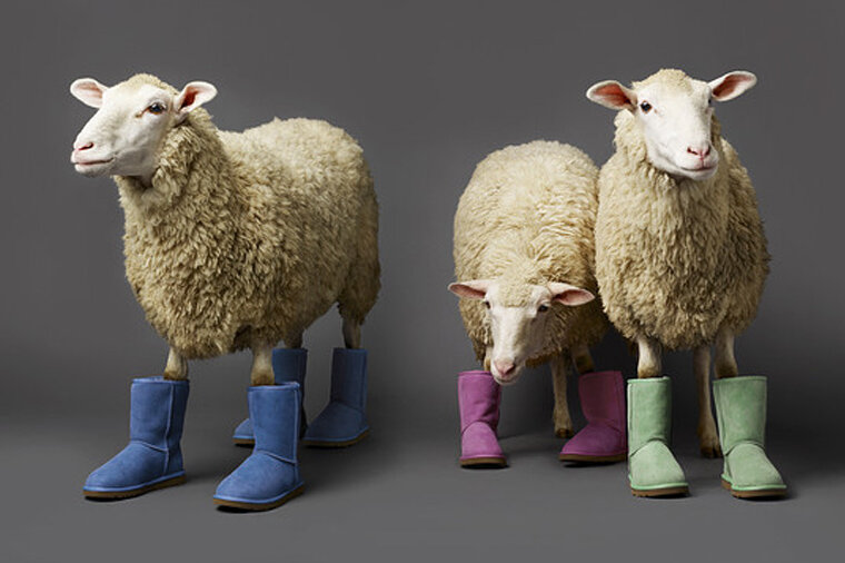 фото открытых источников.