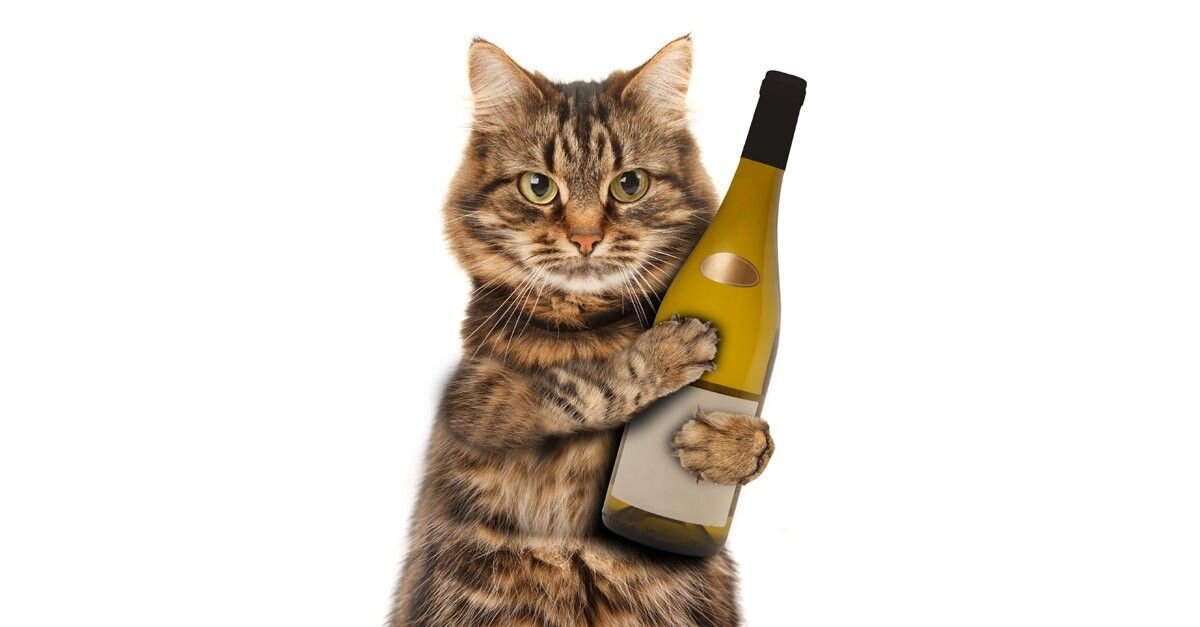 Вино для кошек