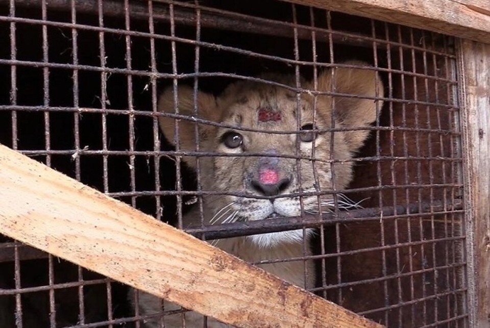     Фото: пресс-служба Росприроднадзора РФ.