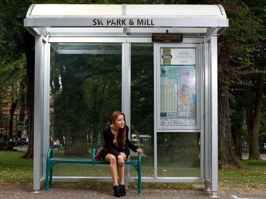     фото: pixabay.com