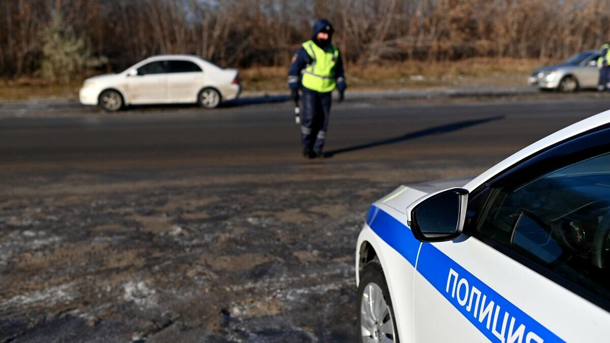    Сотрудники ДПС© РИА Новости / Алексей Мальгавко