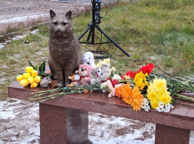 Фото Сергея Фролова.