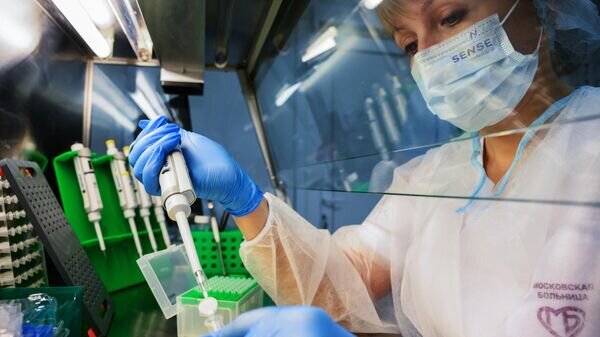   © Sputnik / Илья Питалев