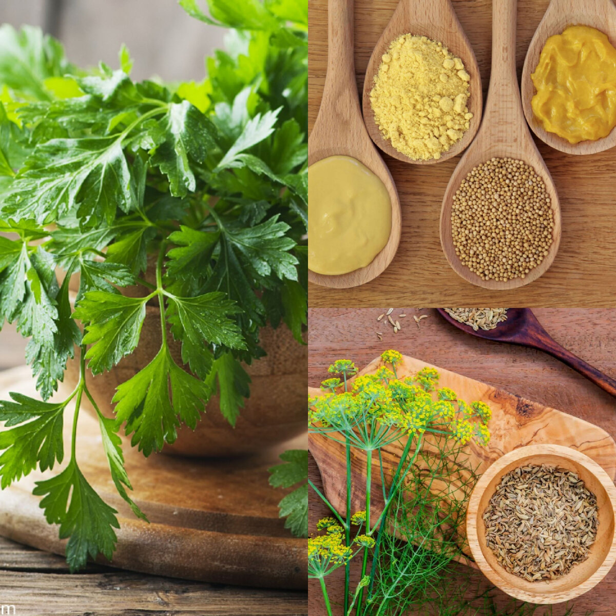 Фото взято из открытого источника интернета 