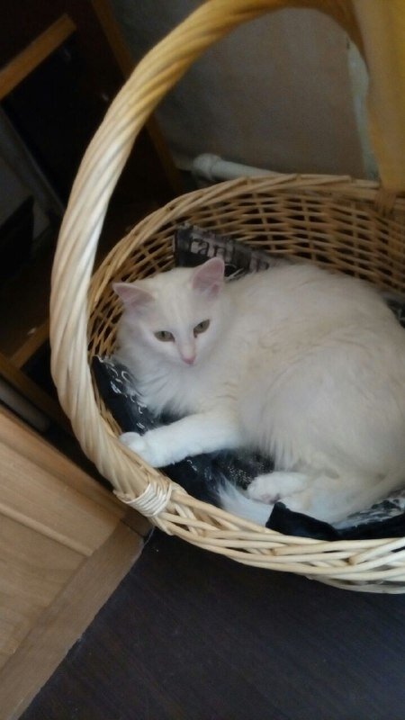 Салли отдыхает