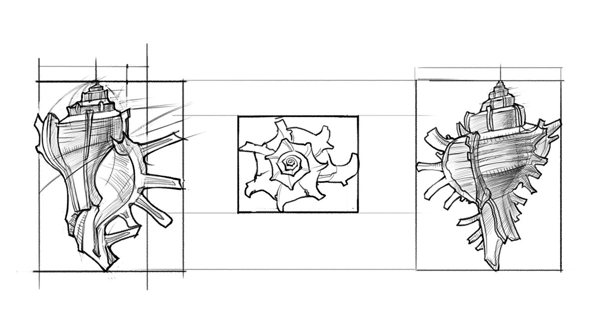 Как нарисовать ракушку карандашом