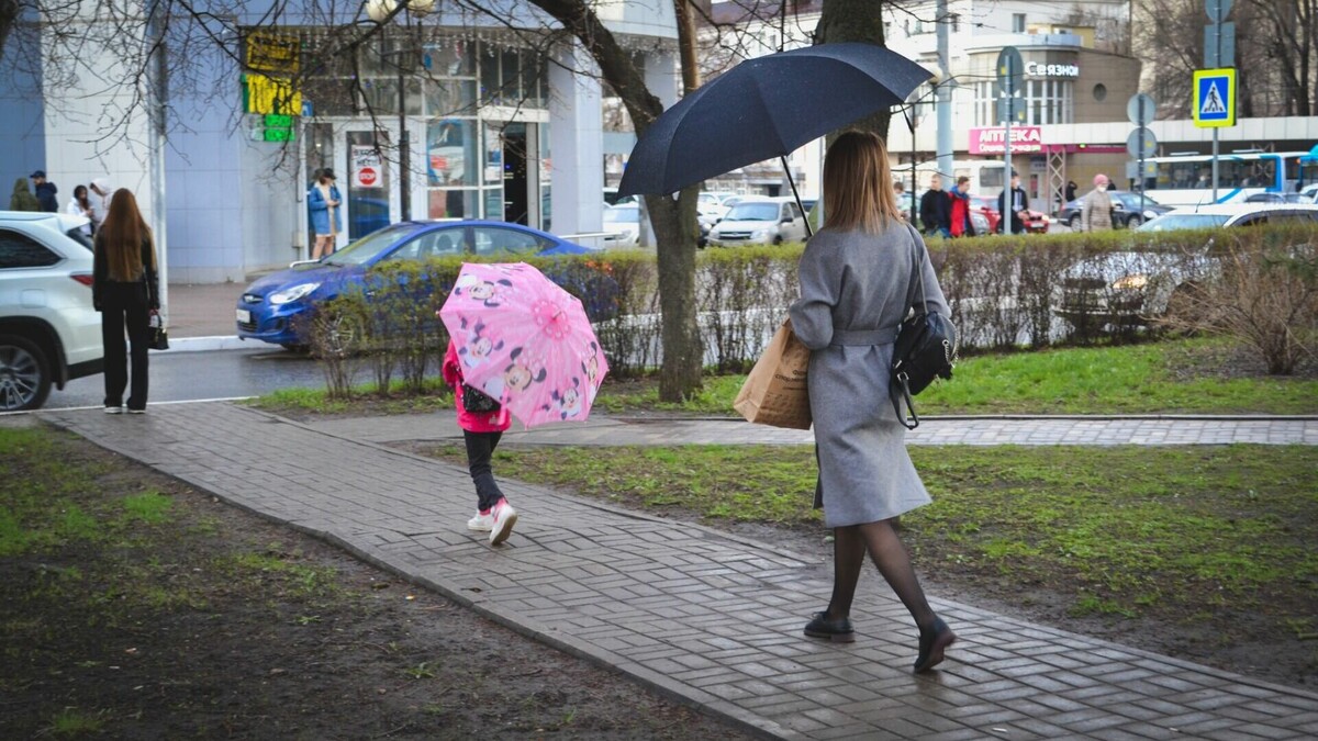     В Ростове-на-Дону в четверг, 17 ноября, сложится дождливая погода, предупредили в Гидрометцентре.