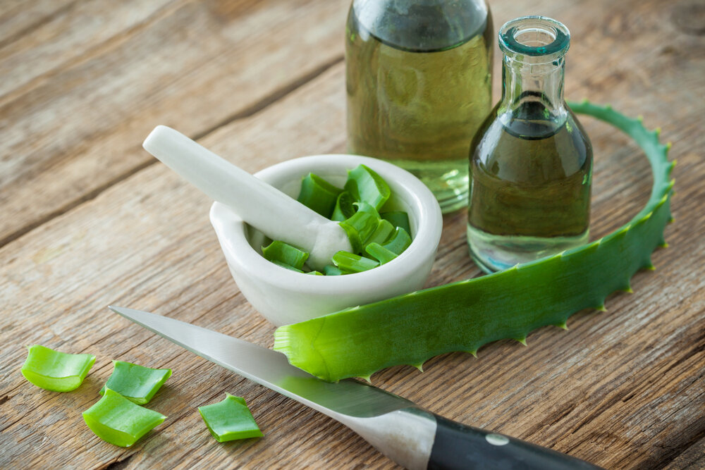    Из листьев алоэ можно приготовить общеукрепляющую и повышающую иммунитет настойку