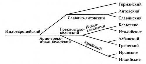 Схема членения индоевропейского языка А. Шлейхера 
Источник: https://historylib.org/historybooks/V--V--Sedov_Slavyane--Istoriko-arkheologicheskoe-issledovanie/3