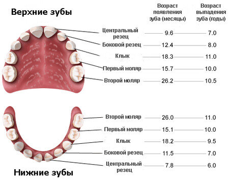yandex.ru