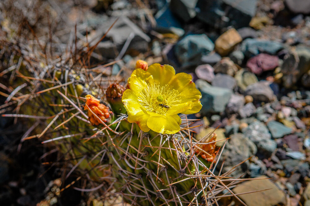 ���������� ����������� �� ��������� ����� � ���������. � ������ ���� ��������� ��������� � ��������� ������� ����������, � ������� ��������� ���� �� ������� ��������� ����� - ����������� ����.-9