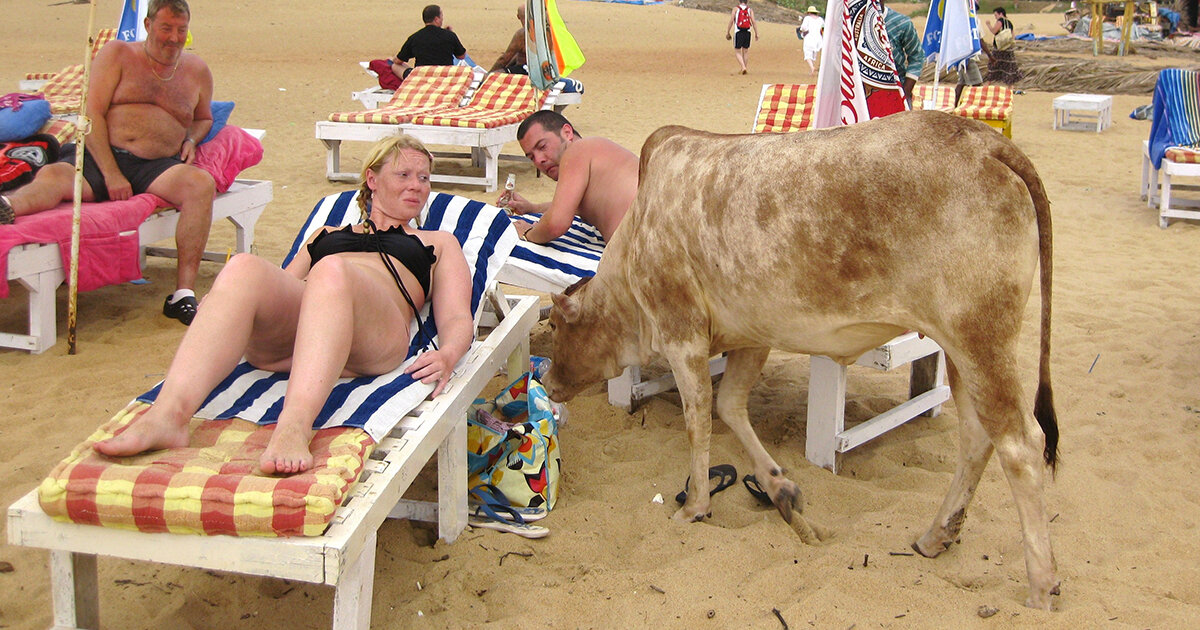 Источник картинки pikabu.ru